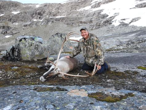 Norway Reindeer Hunt Report ⭐⭐⭐⭐⭐