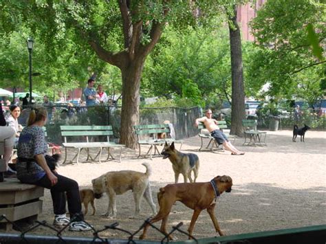 Nyc Washington Square Park Dog Run Guenther Lutz Flickr