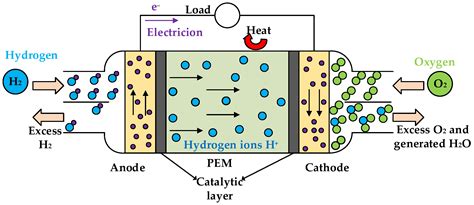 performance analysis   ht pemfc system  fpbi membranes doped