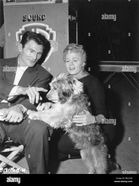 Shelley Winters Shelley Winters Jack Palance Shelley Winters On The