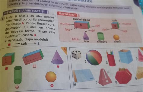 Luca și Maria Au Ales Pentru Construcții Corpurile Geometrice Fin