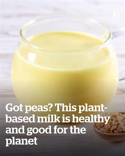 nzherald.co.nz - Pea milk might be more sustainable and nutritious than