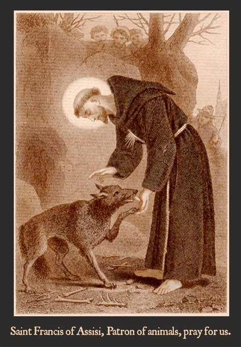 St Francis Of Assisi With The Wolf Of Gubbio T Shirt Catholicamtees