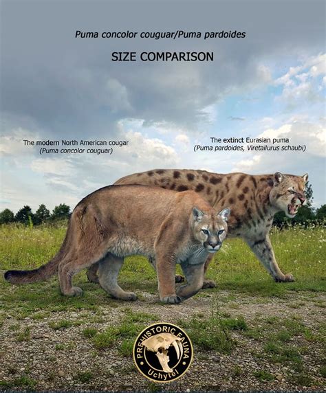 26 New Comparisons Of The Sizes Of Prehistoric Animal Ancestors And