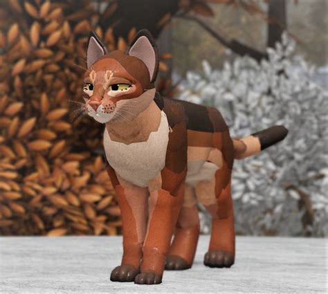 Wcue Abyssinian Morph In 2023 Warrior Cats Fan Art Warrior Cats Art