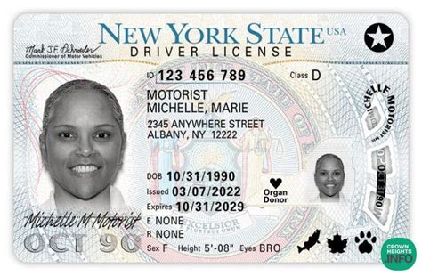 DMV Releases First Look at Redesigned Driver’s License and Permit With ...