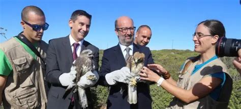 Ministro Do Ambiente Diz Que Processo De Demolições Na Ria Formosa Não