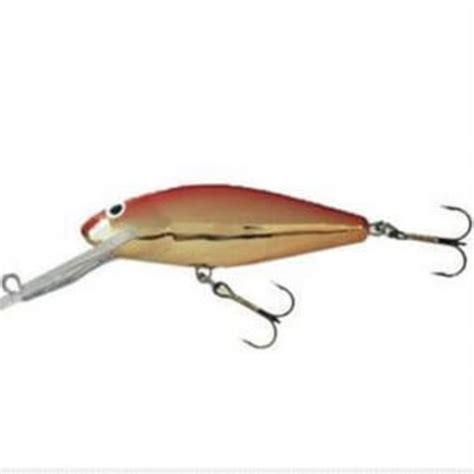 Salmo Perch