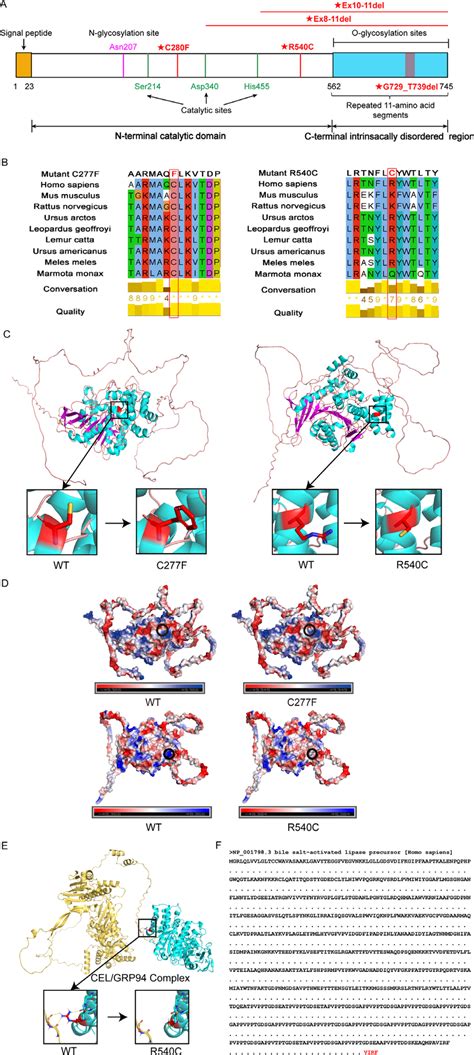 Schematic Representation Of Cel Protein And Bioinformatic Analysis Of