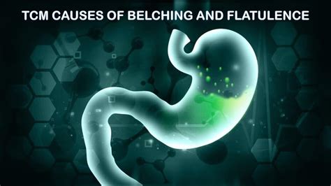 Causes Of Flatulence And Belching According To Chinese Medicine Youtube