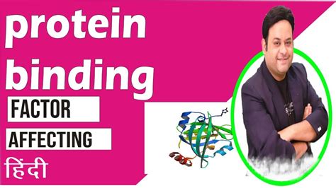 Factor Affecting Protein Binding Youtube