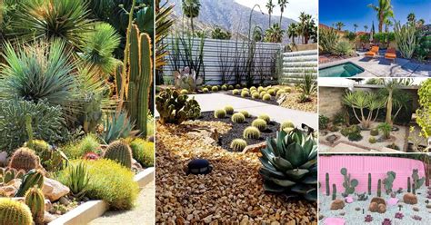 35 Inexpensive Desert Landscaping Ideas Pictures | Balcony Garden Web