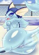 Post 6022742 Bamangojuice Porkyman Vaporeon