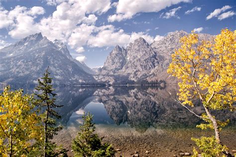 Top 10 Best Spots For Leaf Peeping This Fall In Jackson Hole