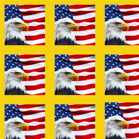 Bird Fabric Patriotic Fabric Eagle On A Flag With Yellow Border