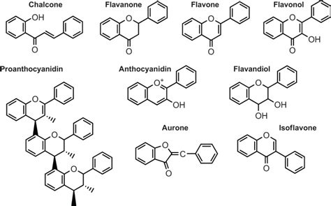 Chemical Structure Of Flavonoids