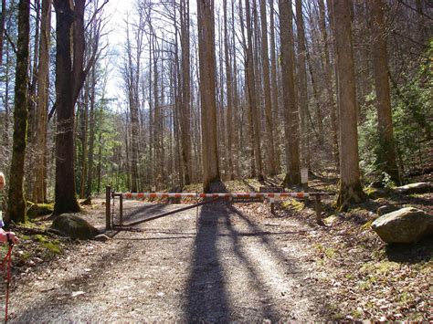 Hiking Great Smoky Mountains National Park Porters Creek Trail And