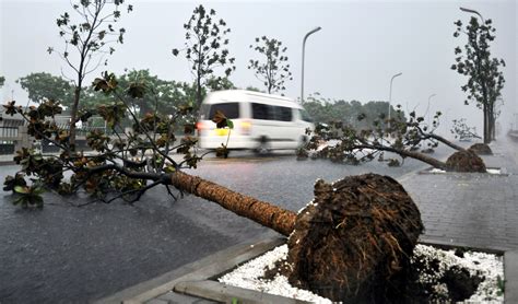 Temporada De Lluvias Intensas Y Ciclones Tropicales Centro