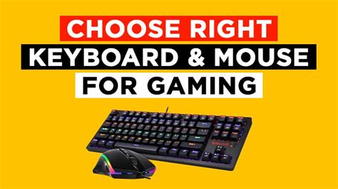 How To Choose The Right Gaming Keyboard And Mouse SettingsWorld