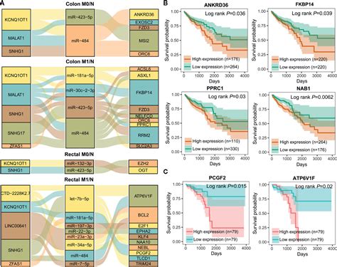 Frontiers Biomarker Discovery For The Carcinogenic Heterogeneity