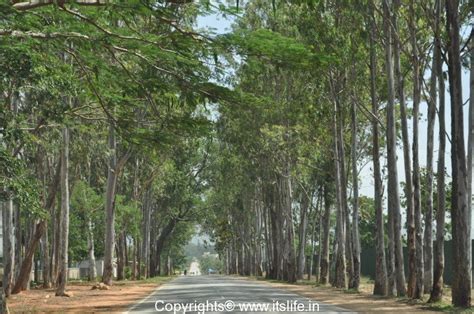 Nandi Hills | Bangalore Tourism | Tipu's Drop | Hill Station