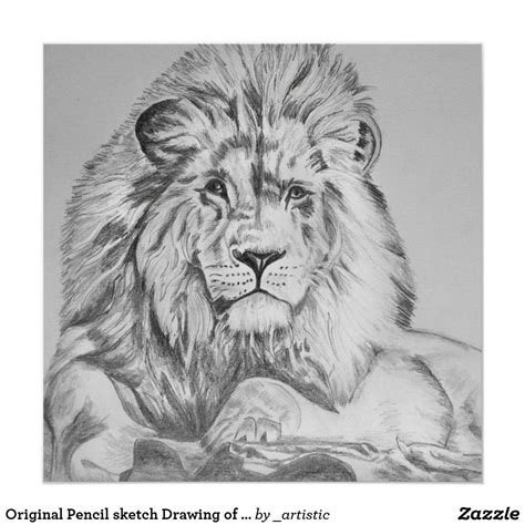 Original Pencil sketch Drawing of a Lion Poster Art Wall, Wall Art Decor, Pencil Sketch Drawing ...