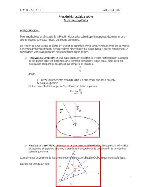 DOC Presión Hidrostática Sobre Superficies Planas Teoría DOKUMEN TIPS