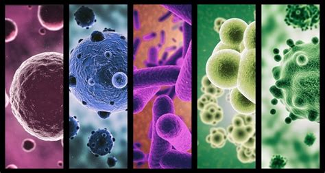 Linea Del Tiempo Historia De La Epidemiología Timeline Timetoast Timelines