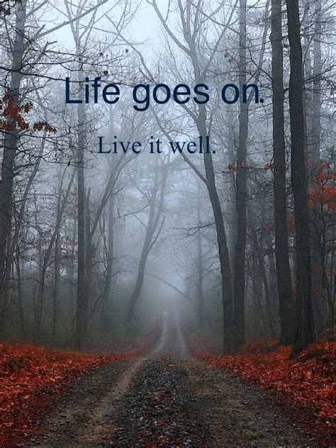 Quote Pictures Life goes on so live it well