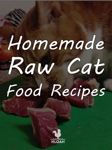 Homemade Raw Cat Food Recipes