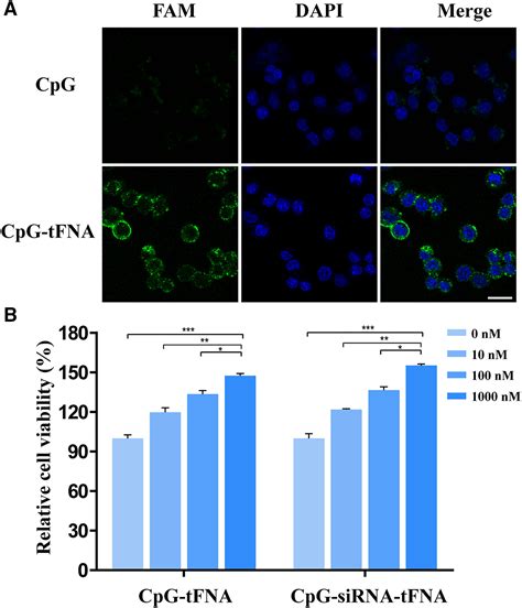 Self Assembled Tetrahedral Framework Nucleic Acid Mediates Tumor