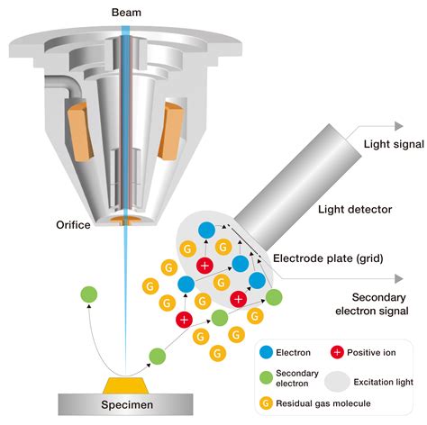 Jsm It Hr Scanning Electron Microscope Products Jeol Ltd