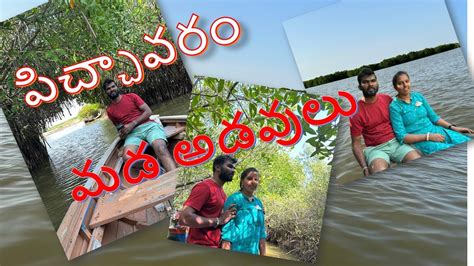 Beauty of Pichavaram Mangrove Forest Full Tour in Telugu పచచవర మడ