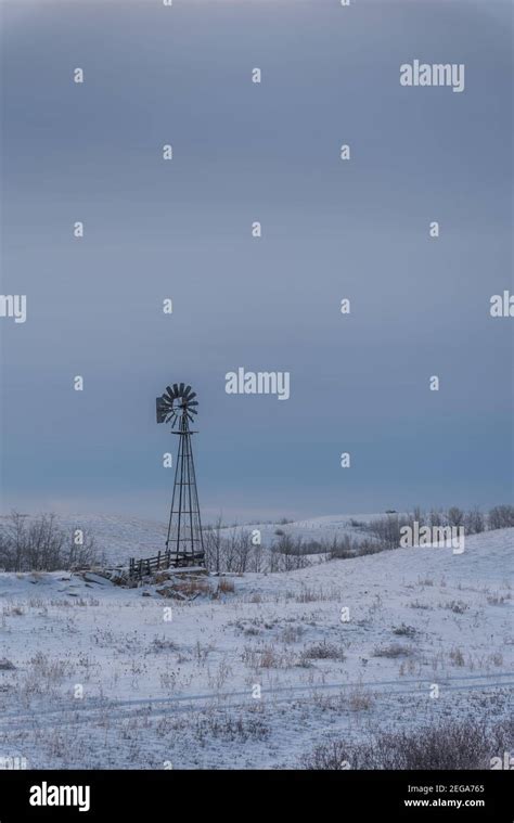 Rural landscape in winter in Alberta Stock Photo - Alamy