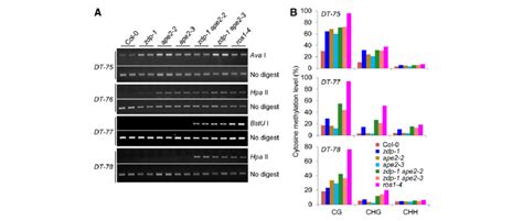 Multiple Endogenous Loci Show Dna Hypermethylation Upon Ape2 Depletion