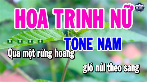 Karaoke Hoa Trinh N Tone Nam Nh C S Ng D H T Karaoke Nh T