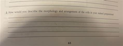 Solved How Would You Describe The Morphology And Arrangement Chegg