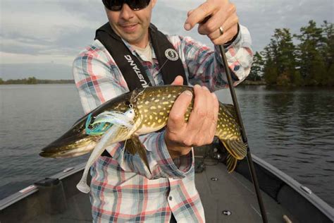 Bladed Swim Jigs For Cold Water Bass On The Water