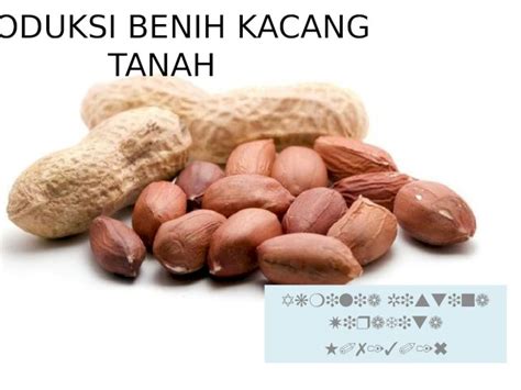 Pptx Taksonomi Tanah Dokumen Tips Hot Sex Picture