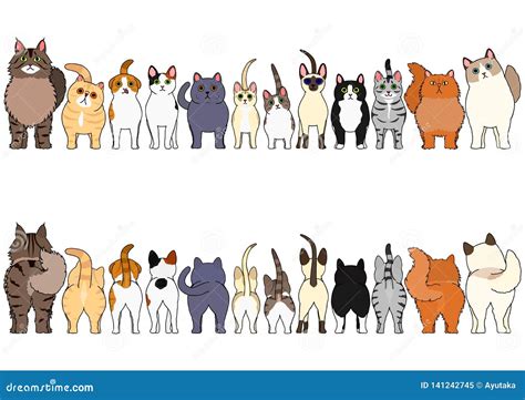 Cats Border Set With Long Blank Board Vector Illustration