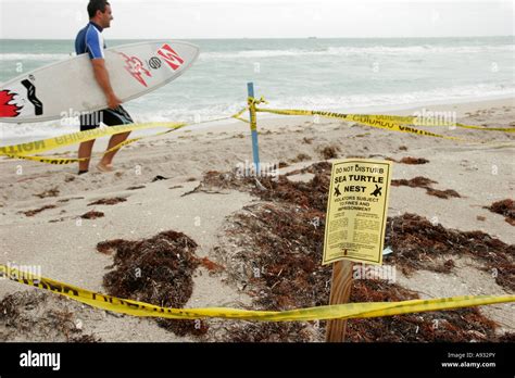 Miami Beach Florida Atlantic Ocean Water Shore Sign Sea Turtle Nest Do