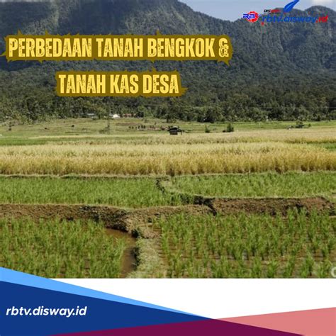 Sering Bikin Bingung Ini Perbedaan Tanah Bengkok Dan Tanah Kas Desa