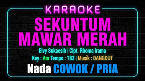 Sekuntum Mawar Merah Karaoke Nada COWOK Pria Lagu Dangdut Elvy