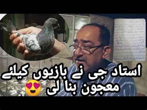 Chacha G Kamal K Bachy Diye Asim Saeed Pigeons YouTube