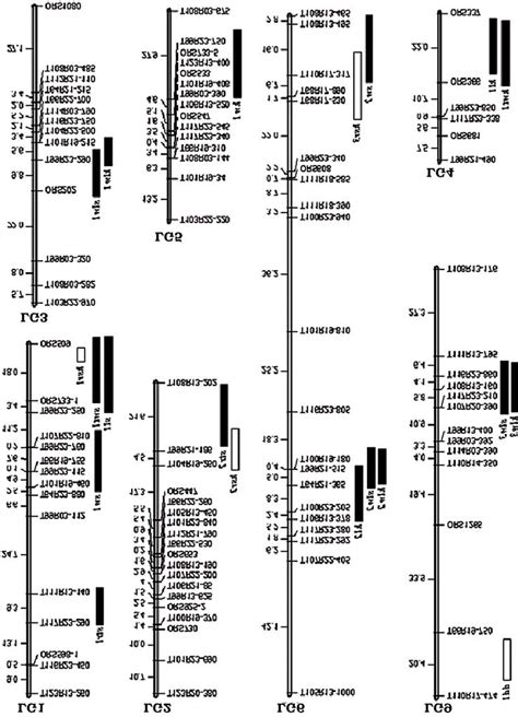 A The Genetic Linkage Map And Locations Of The Qtl Detected In Both