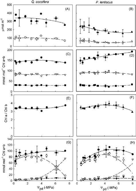 Changes in pigment composition at predawn as a function of predawn ...