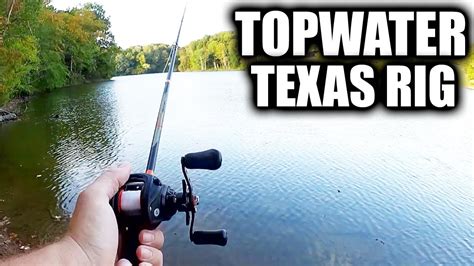 How To Fish Topwater Texas Rigs For Bass Fall Topwater Bass Fishing