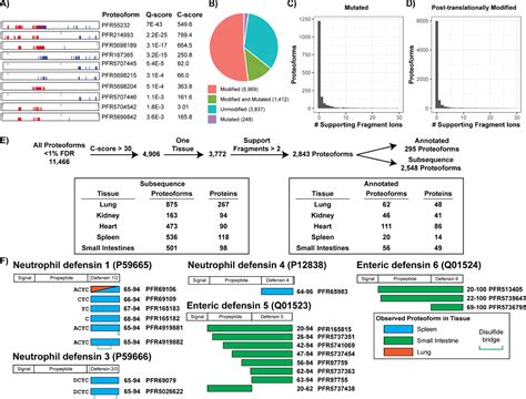 Mapping The Proteoform Landscape Of Five Human Tissues Journal Of