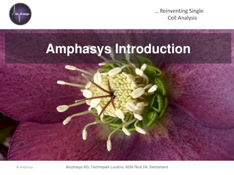 Pdf Amphasys Single Cell Analysis Based On Impedance Flow