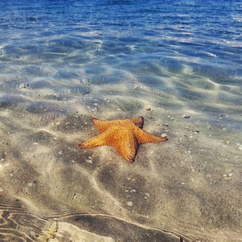 Anal August Wicked Sensual Care Lubes Enhancers